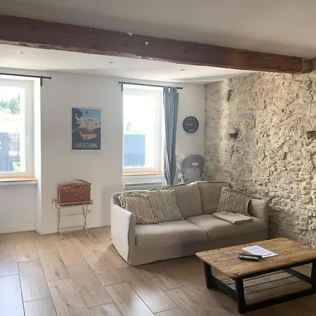 La Maison De Marie - Jardin Arbore - Garage Privatif - Netflix * Carcassonne