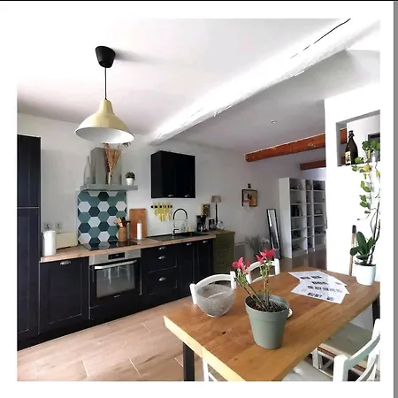 La Maison De Marie - Jardin Arbore - Garage Privatif - Netflix Holiday home Carcassonne